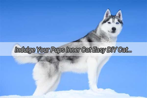 Indulge Your Pups Inner Cat Easy DIY Cat Claws Treats Thatll Have Them Purring with Delight